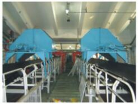 Ƥ����¯ú��������